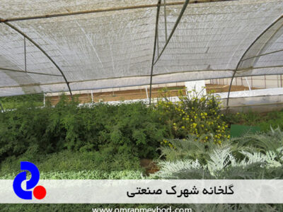 گلخانه شهرک صنعتی