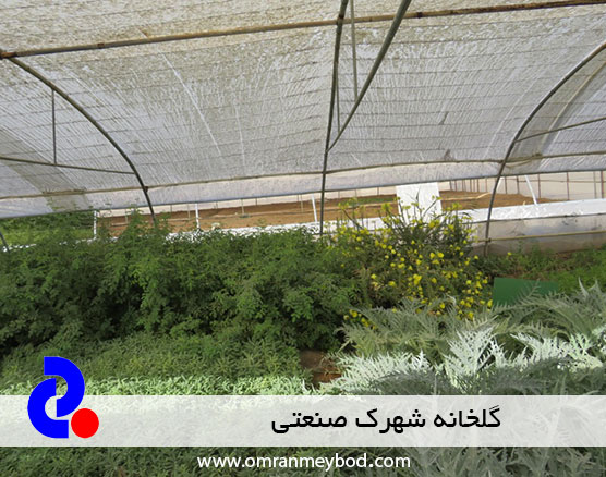 گلخانه شهرک صنعتی