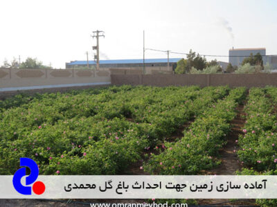 آماده سازی زمین جهت احداث باغ گل محمدی